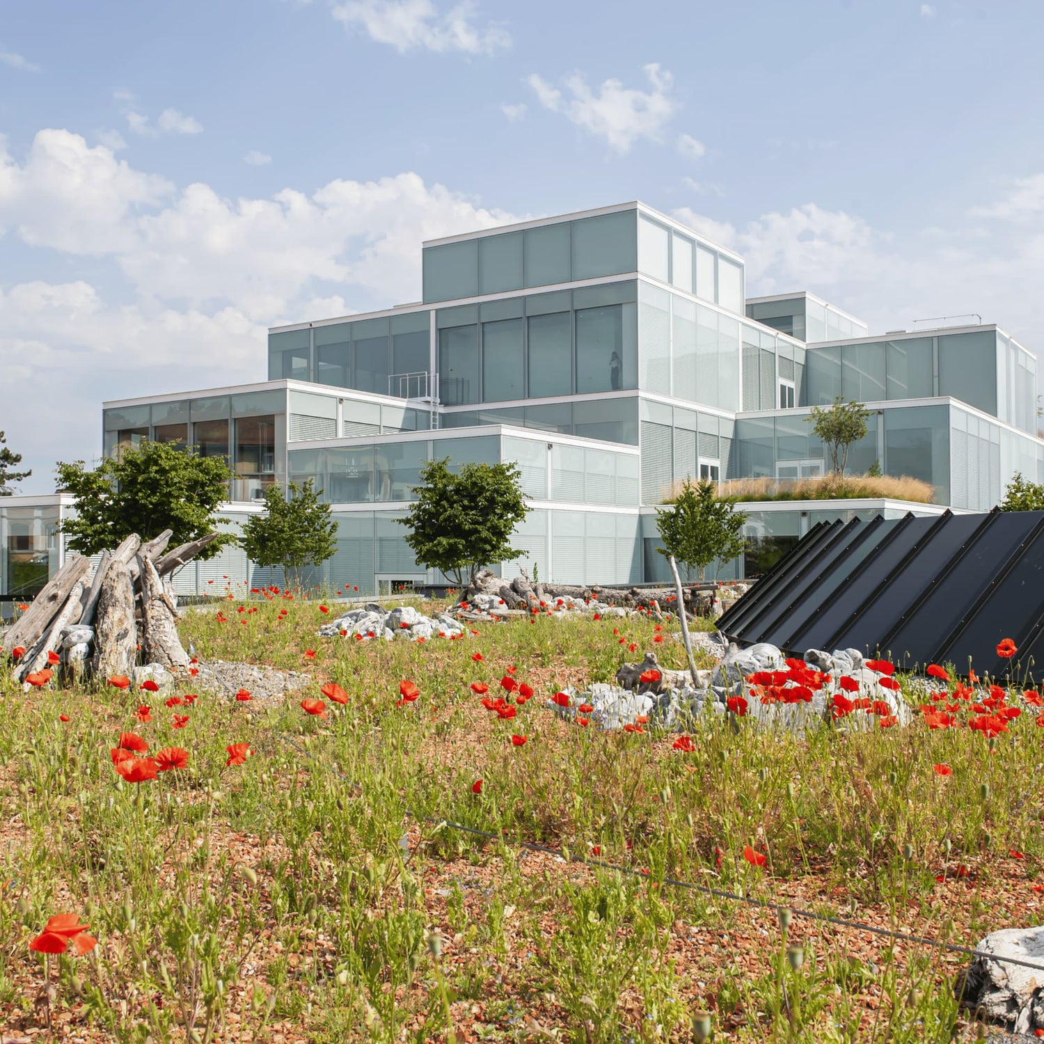 University of St.Gallen HSG Square Building